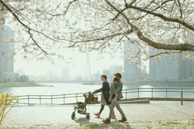 Top 10 Long-Term Care Insurance Providers in Boston