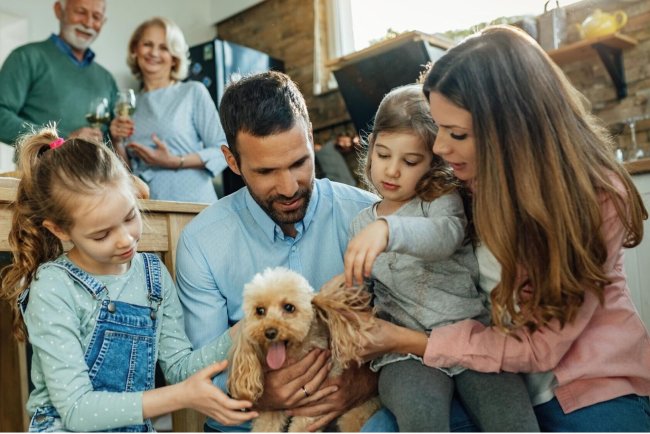 Pet Dental Cover for Illnesses & Injuries