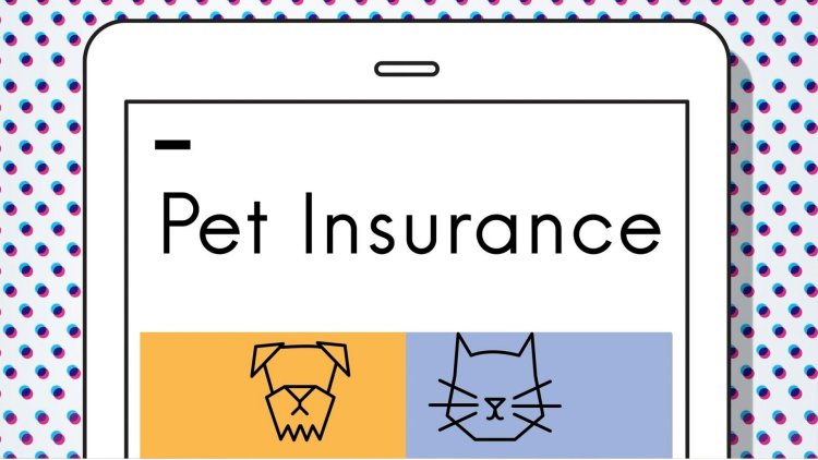 Top 10 Pet Insurance Providers in San Antonio A Comprehensive Guide