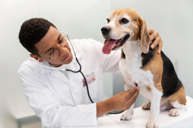 Top 10 Pet Insurance Providers in Philadelphia