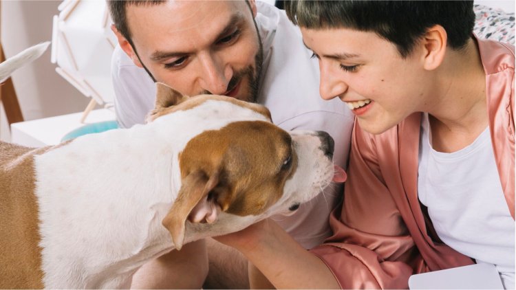 Benefits of Petplan Insurance