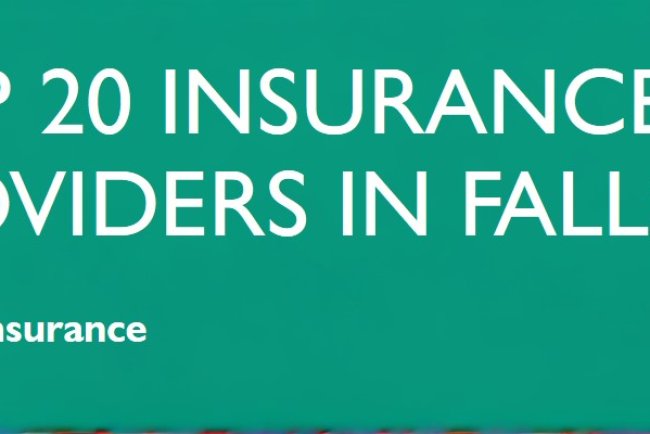 Top 20 Insurance Providers In Idaho Falls