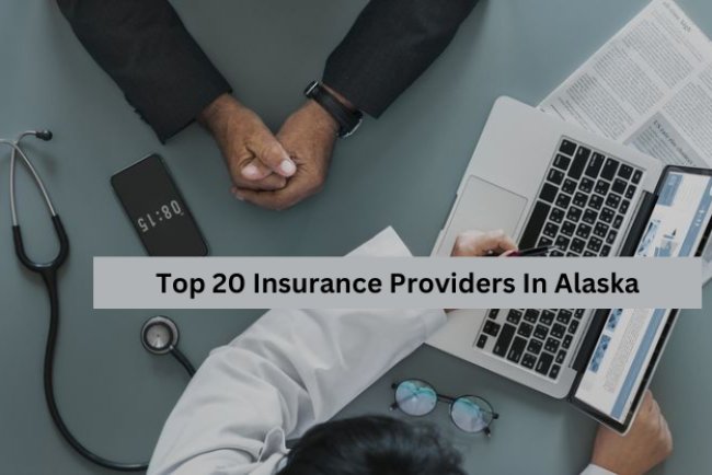 Top 20 Insurance Providers In Alaska