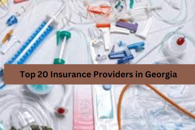 Top 20 Insurance Providers in Georgia