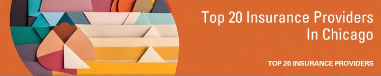 Top  20  Insurance Providers In  Chicago