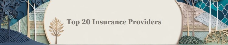 Top 20 Insurance Providers In Naperville