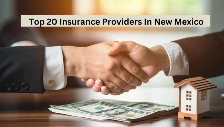 Top 20 Insurance Providers In New Mexico